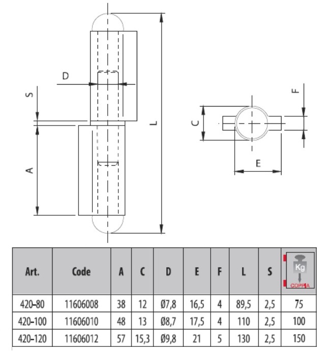"DISEGNO TECNICO"